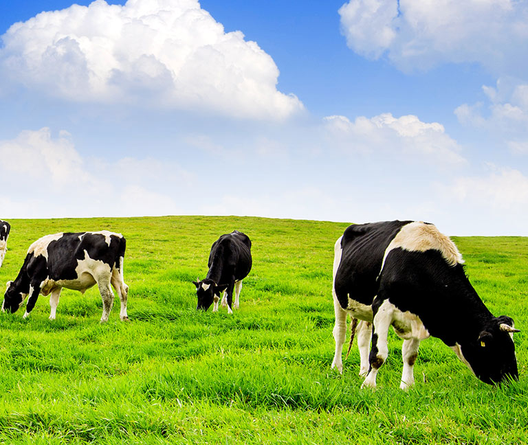 Wisconsin Agriculture